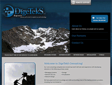 Tablet Screenshot of digeteks.com